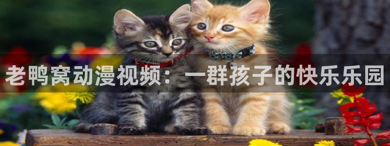 风车动漫(p)-：老鸭窝动漫视频：一群孩子的快乐乐园