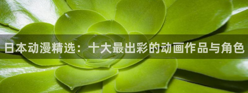 风车动漫网在线看：日本动漫精选：十大最出彩的动画作品与角色